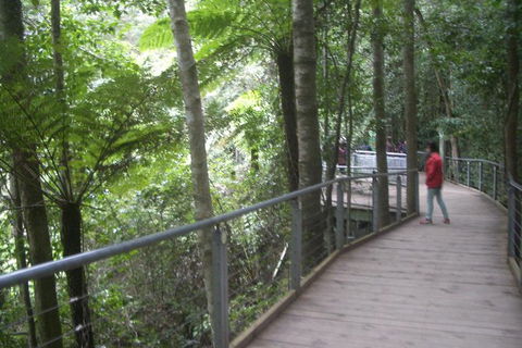 All-Day Blue Mountains Private Tour With Professional Guide For Up To 4 People - Accommodation Australia 20