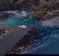 Jervis Bay Passage Tour - Local Tourism