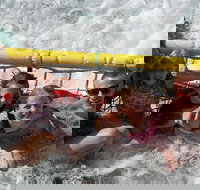 Jervis Bay Boom Netting and Dolphins Tour - Local Tourism