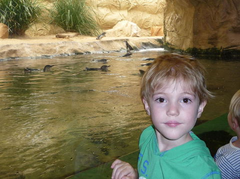 WILD LIFE Sydney Entrance Ticket - Accommodation Australia 5