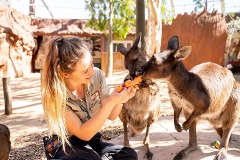 WILD LIFE Sydney Entrance Ticket - Accommodation Australia 18