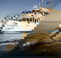 Jervis Bay Dolphin Watch Cruise - Local Tourism