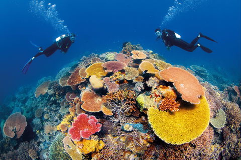 Agincourt Reef - Accommodation Australia 0