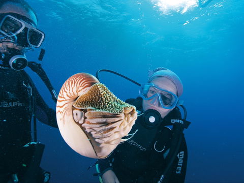 Agincourt Reef - Accommodation Australia 1