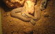 Armadale Reptile Centre - thumb 1