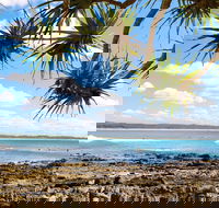 Arrawarra-Corindi Beach - Accommodation Australia