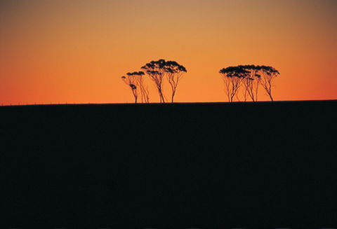 Arthur River - Australia Shopping 1