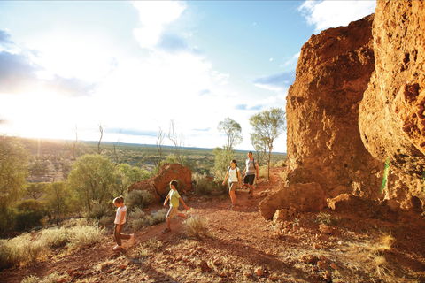 Baldy Top Lookout - Bed n Breakfasts 0
