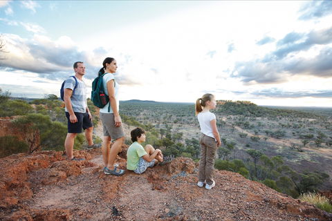 Baldy Top Lookout - Bed n Breakfasts 1