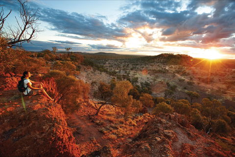 Baldy Top Lookout - Bed n Breakfasts 2