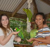 Birdworld Kuranda - Accommodation Australia