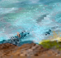 Birdwatching on the Fraser Coast - Local Tourism