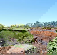Bladensburg National Park - Local Tourism