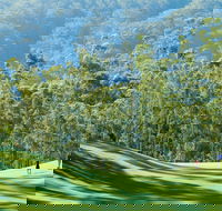 Bonville Golf Resort - Accommodation Australia