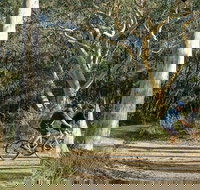 Bundanoon cycling route