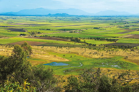 Burdekin - Accommodation Australia 1