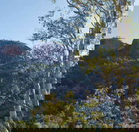 Canyon Picnic Area - Local Tourism