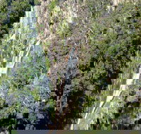 Carrai National Park - Local Tourism