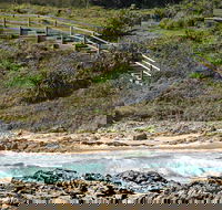 Dammerels History Walk - Accommodation Australia