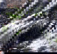 Darkes Forest - Local Tourism