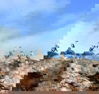 Dirk Hartog Island National Park - Local Tourism