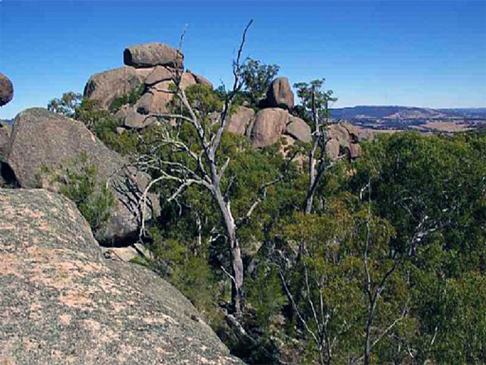 Tarana NSW Bed n Breakfasts