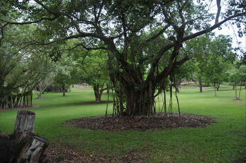 Frog Hollow - Accommodation Australia 1