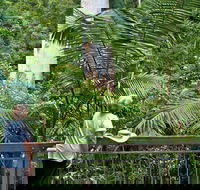 Grandis Picnic Area - Local Tourism