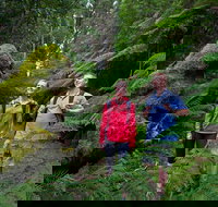 Grand Strzelecki Track - Australia Shopping