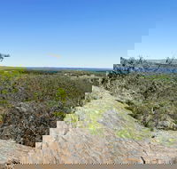 Hale Conservation Park - Accommodation Australia