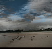 Hardwicke Bay - Local Tourism