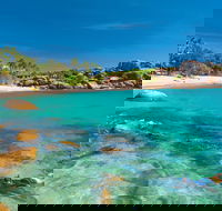 Horseshoe Bay - Bowen - Local Tourism