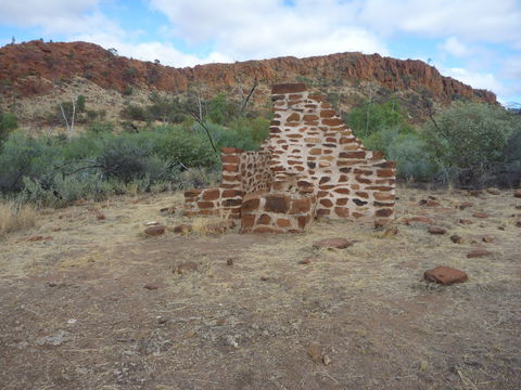 Illamurta Springs Conservation Reserve - Accommodation Australia 1