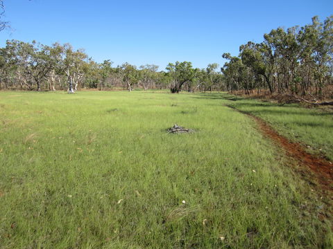 Jatbula Trail - Local Tourism 2