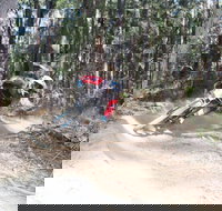 Jolly Nose Mountain Bike Park - Australia Shopping