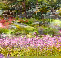 Jurassic Garden AR Experience - Australia Shopping