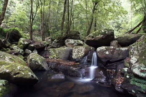 Kangaroo River - Accommodation Australia 0