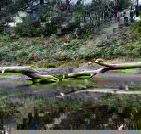 Kayaking Upper Tuross River and Bumbo Lake - Bed n Breakfasts