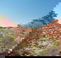Lark Quarry Conservation Park - Local Tourism
