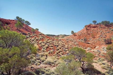 Lark Quarry Conservation Park - Local Tourism 0