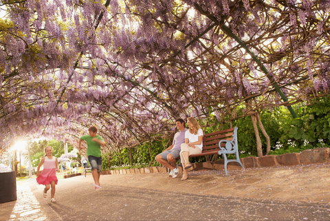 Laurel Bank Park - Local Tourism 1
