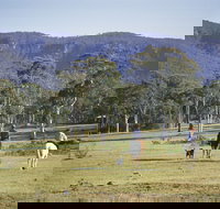 Megalong Valley - Local Tourism