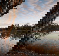 Murray-Kulkyne Regional Park - Accommodation Australia