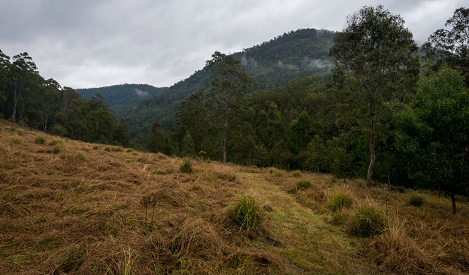 Woolbrook NSW Accommodation Australia