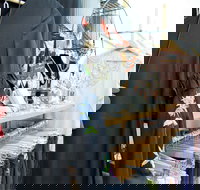 Oh JoJo Boutique - Australia Shopping