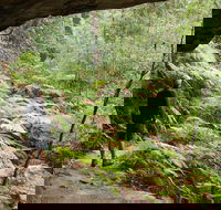 Old Great North Road Bike Ride - Local Tourism