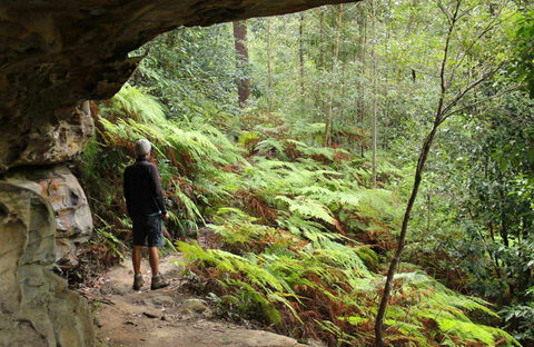 Old Great North Road Bike Ride - Accommodation Australia 0