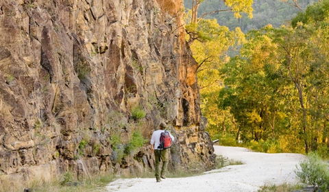 Old Great North Road - World Heritage Walk - Accommodation Australia 0
