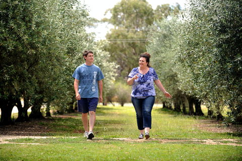 Olives Of Beaulieu - Accommodation Australia 0