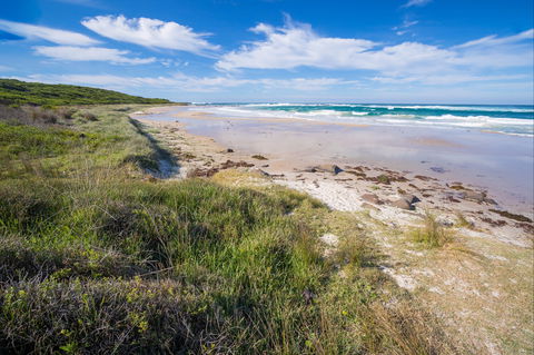 Racecourse Beach: Bawley Point - Accommodation Australia 0
